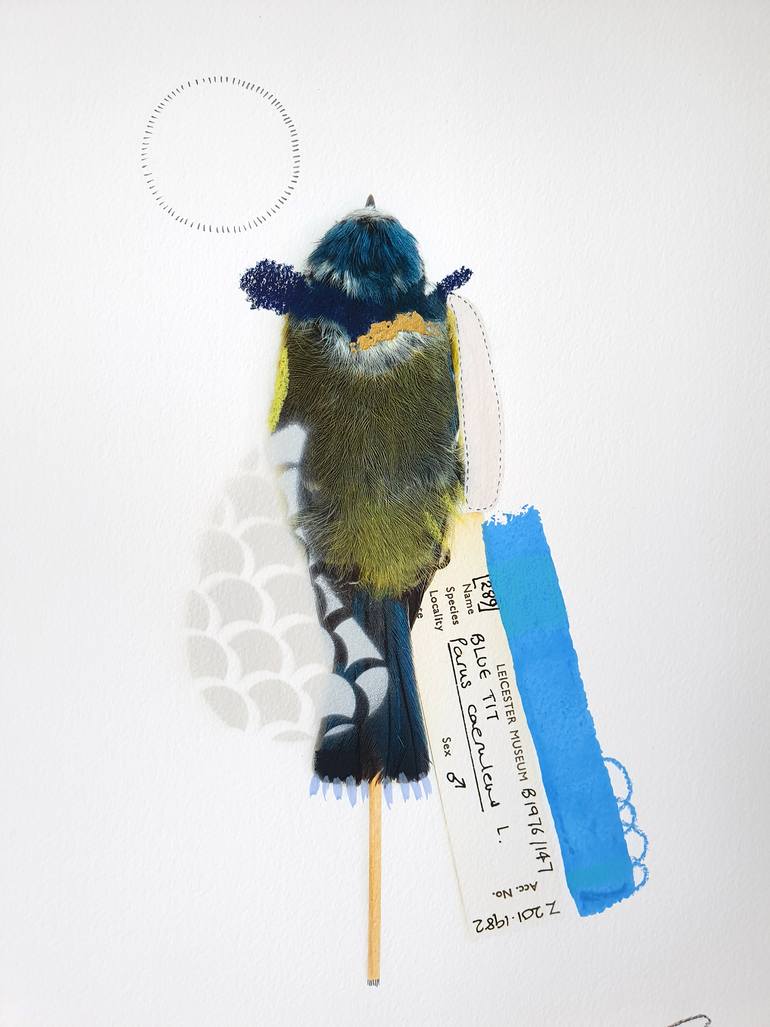 Original Abstract Animal Photography by Lucy Stevens