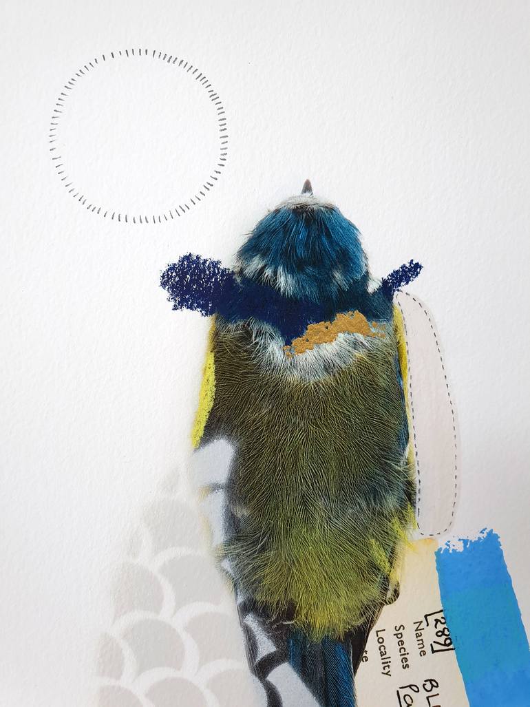 Original Abstract Animal Photography by Lucy Stevens