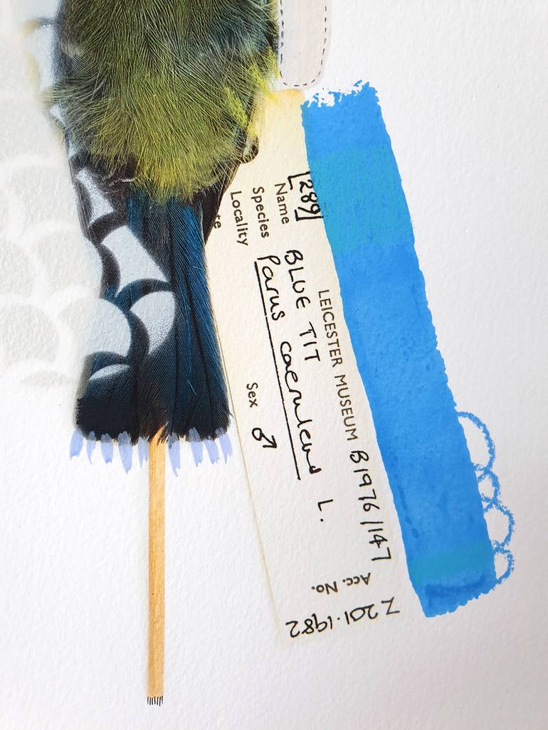 Original Abstract Animal Photography by Lucy Stevens