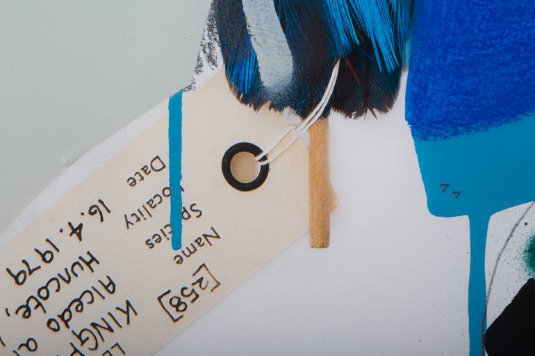Original Abstract Animal Photography by Lucy Stevens