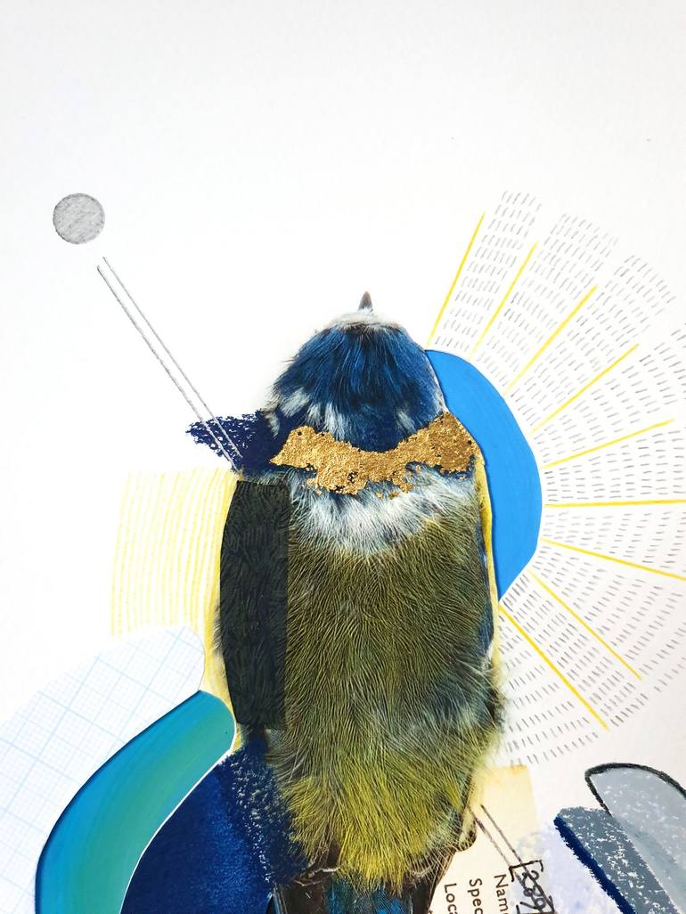 Original Abstract Animal Photography by Lucy Stevens