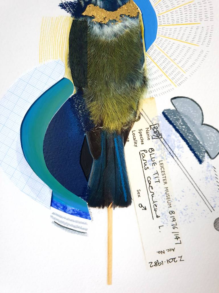 Original Abstract Animal Photography by Lucy Stevens