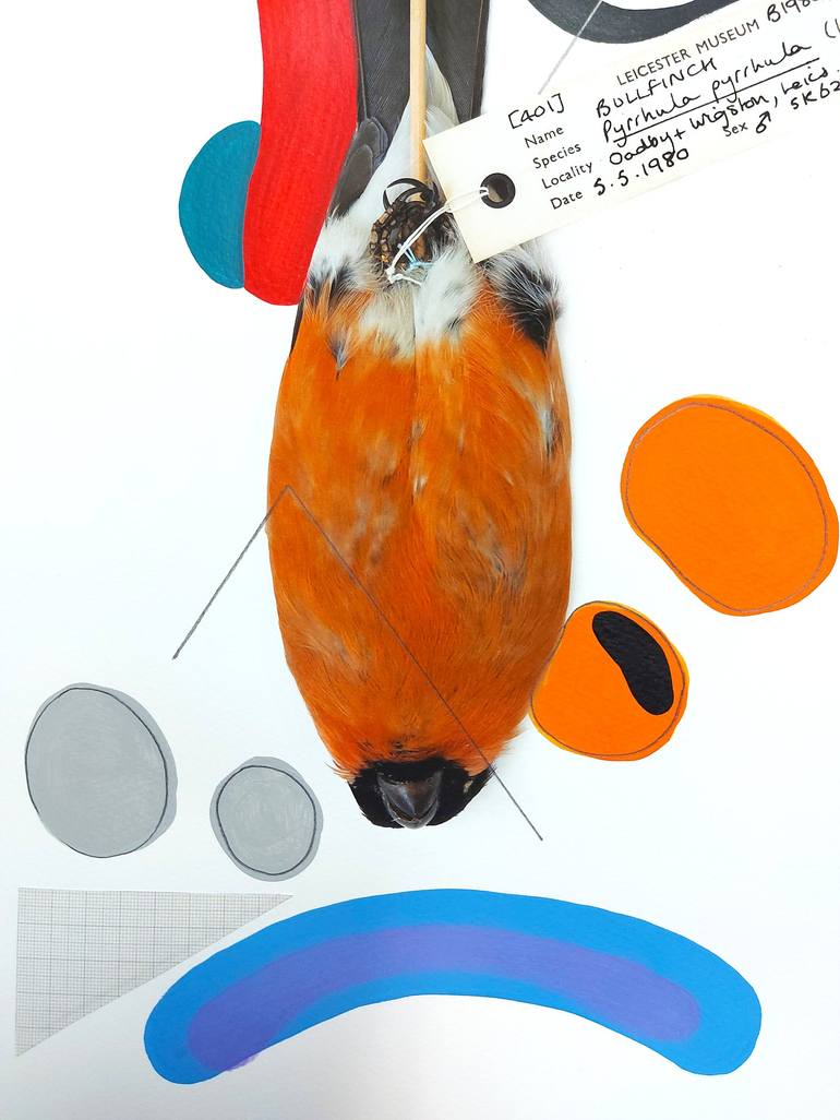 Original Animal Collage by Lucy Stevens