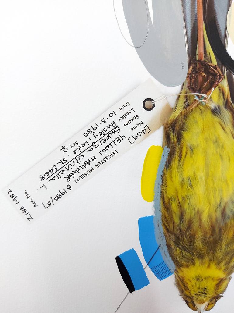 Original Abstract Animal Painting by Lucy Stevens