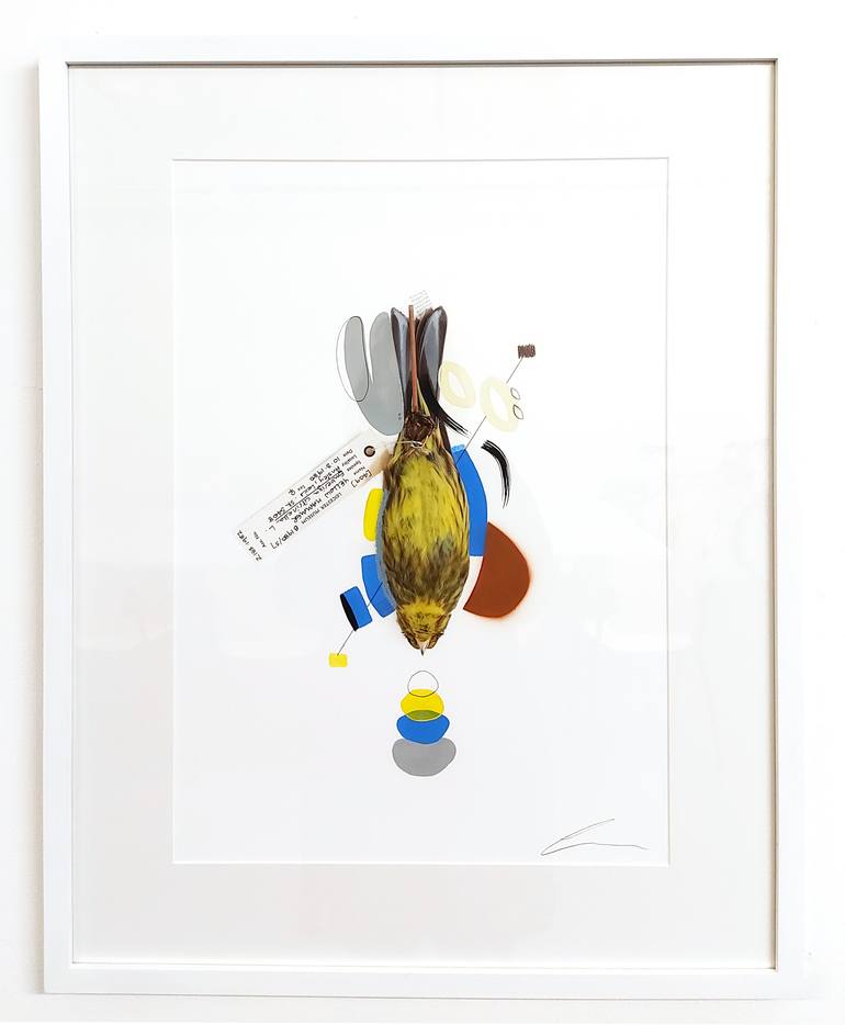 Original Abstract Animal Painting by Lucy Stevens