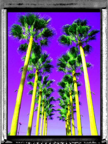 Purple Palms - Limited Edition 1 of 10 thumb