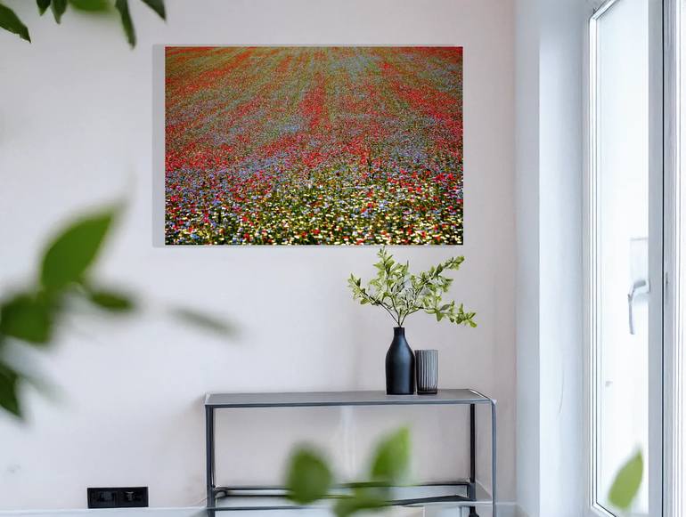 Original Documentary Floral Photography by Kantfish Emanuele Giusto
