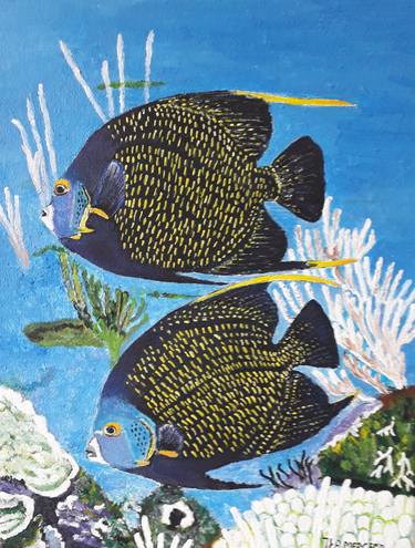 Original Realism Fish Paintings by Ita Mercera