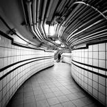 Into the Rabbit Hole by Tony Menias