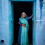 Collection Wander Through the Canvas