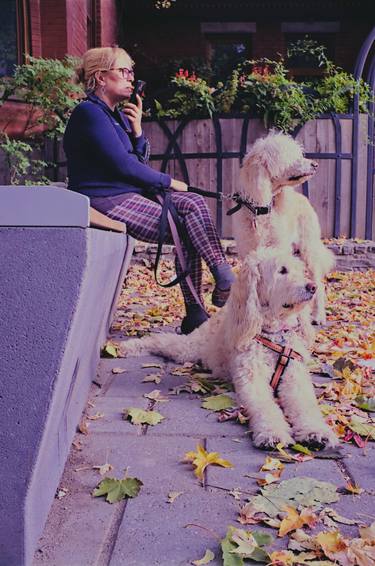 Original Documentary Dogs Photography by Amin Habbal