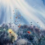 Collection Soothing Seascapes