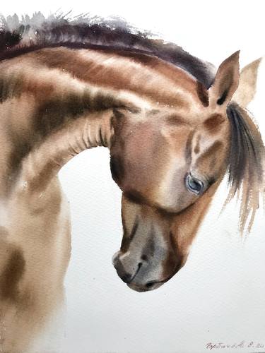 Print of Horse Paintings by Eugenia Gorbacheva