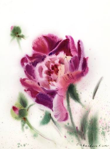 Print of Illustration Botanic Paintings by Eugenia Gorbacheva