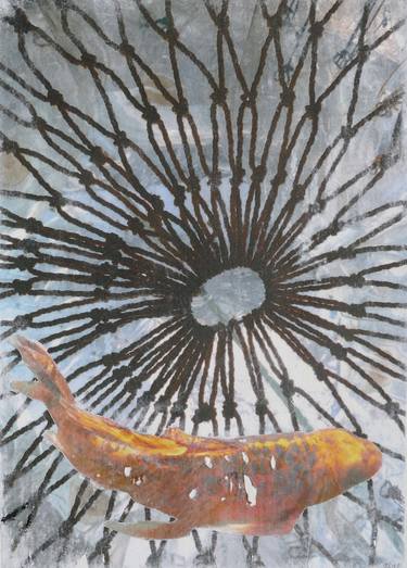 Original Fine Art Fish Collage by Johanna Siegel