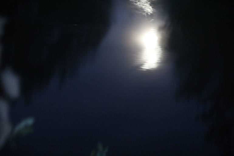 Original Documentary Light Photography by Johanna Siegel