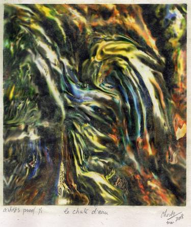 Original Abstract Expressionism Nature Printmaking by Richard Chester