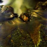 Allegory Stream III - Limited Edition 2 of 4 by Mark Castleray