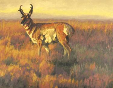 Original Impressionism Animal Paintings by R K Jolley