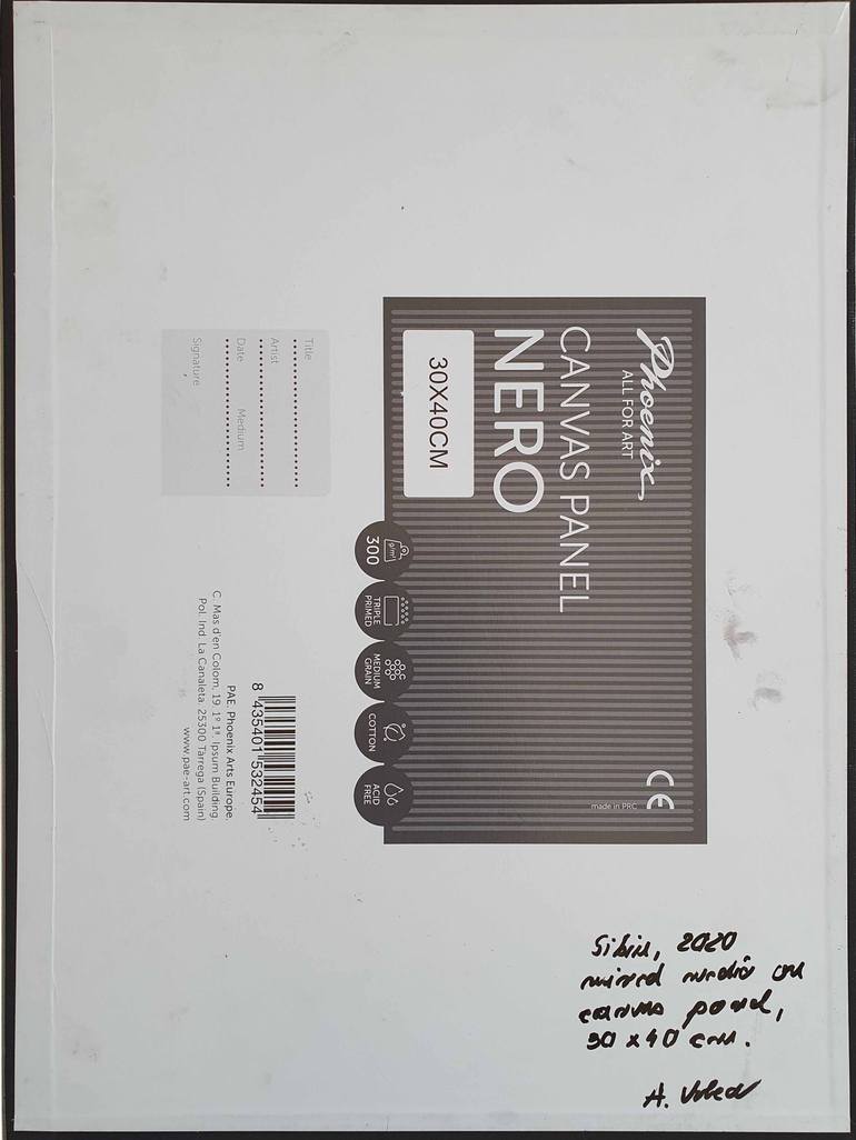 Original Documentary Outer Space Painting by Alida Velea