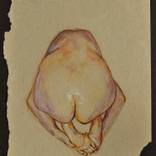 Sketch 3 by Sheila Wallis