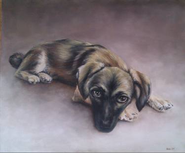 Print of Realism Animal Paintings by Danijel Korosec