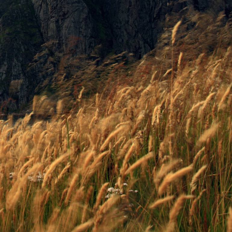 Original Documentary Landscape Photography by Zuzana Uhlíková