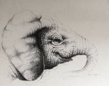 Baby Elephant Ink Drawing Study for Sculpture thumb