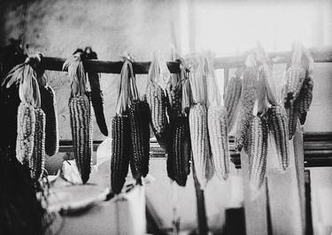 Print of Documentary Rural life Photography by Ana Mangot