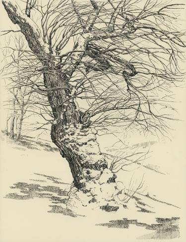 Print of Minimalism Tree Drawings by Katarzyna Gagol