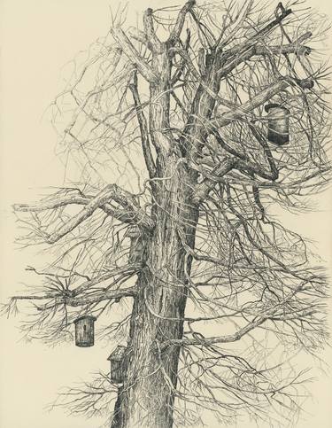 Print of Figurative Tree Drawings by Katarzyna Gagol