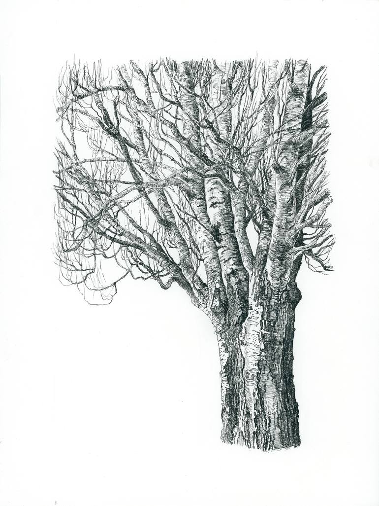 Pencil Discovery Tree, Detail 14 X 14 Mark Bremer