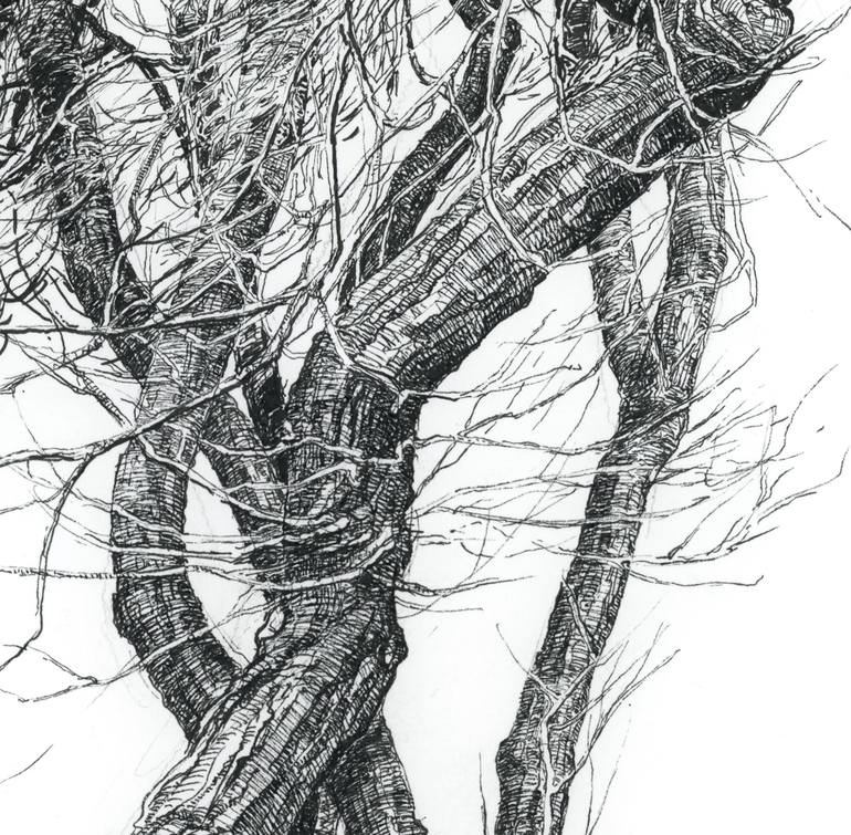 Original Figurative Nature Drawing by Katarzyna Gagol