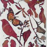 Natures Song by Melanie Ferguson