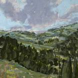 Timp Trail by Melanie Ferguson