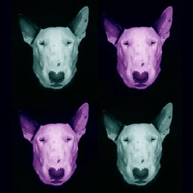 Four Bull Terriers in Color - Limited Edition 1 of 15 thumb