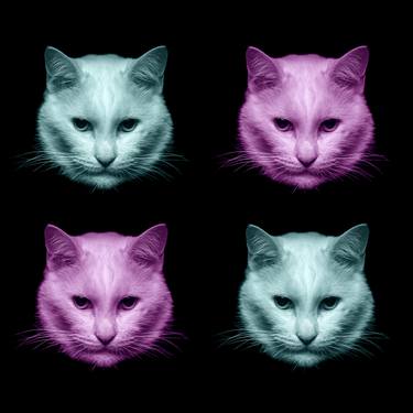 Four Cats in Color - Limited Edition 1 of 15 thumb
