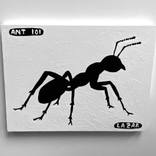 Ant #101 by Ralph Lazar