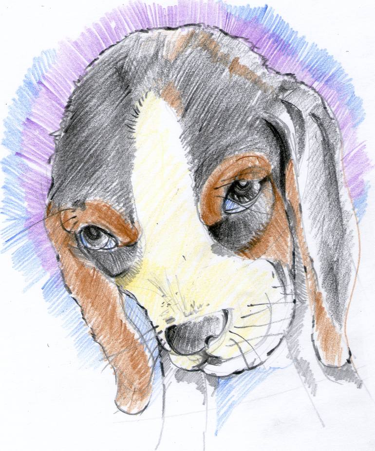 Original Abstract Expressionism Animal Drawing by Vichian Kunruangsang
