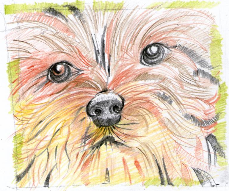 Original Abstract Expressionism Animal Drawing by Vichian Kunruangsang