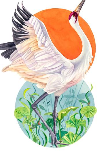 Original Illustration Animal Paintings by Cathy Earle