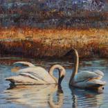 Sunset Swans by Jeanne Bitz
