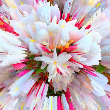 Original Floral Mixed Media by Pamela Storch