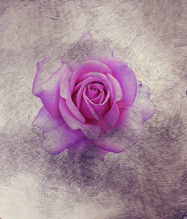 Print of Fine Art Floral Mixed Media by Cristina Cerminara