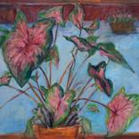 Caladium Still Life by Diana Kurz