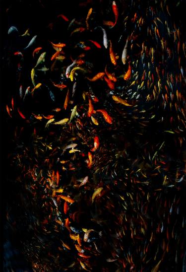 Print of Abstract Fish Photography by Peggy Fox