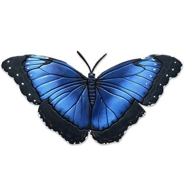 Blue Morpho Butterfly: Wood Work thumb