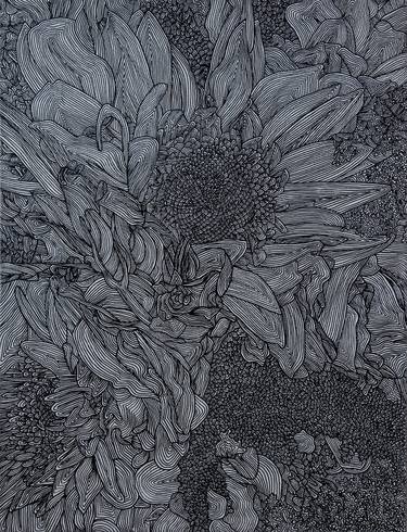 Original Black & White Floral Drawings by Elizabeth Karlson