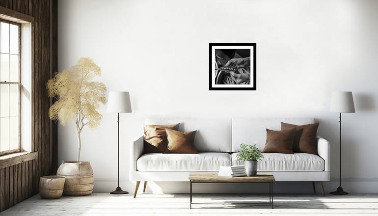 Original Abstract Still Life Photography by Gary Horsfall