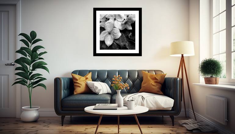 Original Other Nature Photography by Gary Horsfall